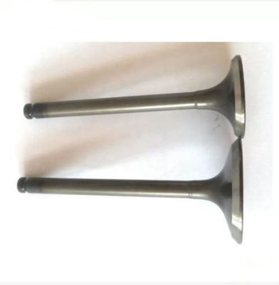 TEM MD159502 Mitsubishi 4G63 Exhaust Valve And Intake Valve MD197193